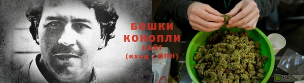 стафф Нягань