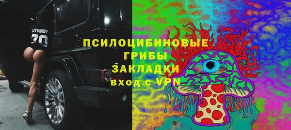 мет Нязепетровск