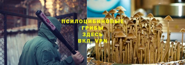стафф Алексеевка