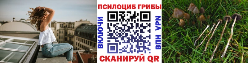 Галлюциногенные грибы ЛСД  Морозовск 